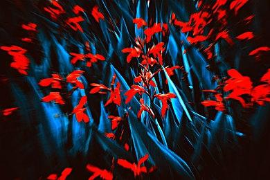 《盟军敢死队3：复刻版》8月31日发售 重返欧洲战场